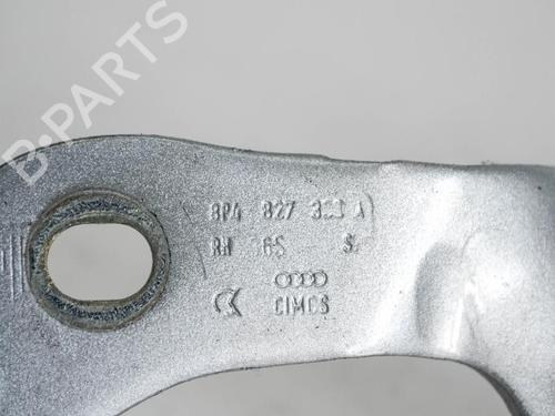 Hinge/Door check strap AUDI A3 Sportback (8PA) 1.6 TDI | BP14690668C146 