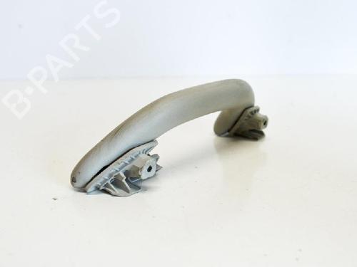 Interior roof handle VW GOLF V (1K1) 1.9 TDI | BP14685371I35 