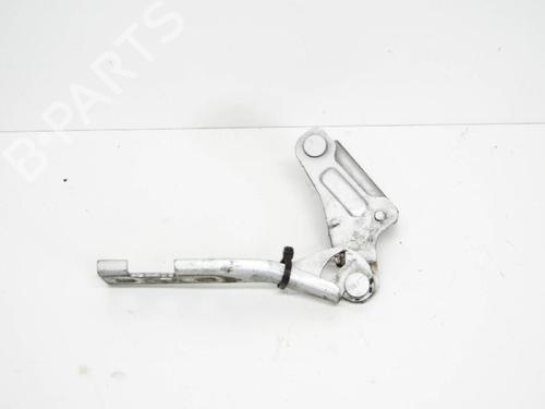 Hinge/Door check strap SEAT EXEO (3R2) 2.0 TDI | BP14682916C146 