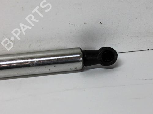 Hood lift support VW PHAETON (3D1, 3D2, 3D3, 3D4, 3D6, 3D7, 3D8, 3D9) 3.0 V6 TDI 4motion | BP14677618C139 