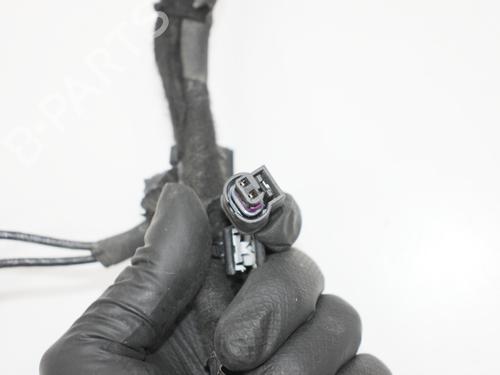 Wiring harness LAND ROVER RANGE ROVER SPORT III (L461) P440e PHEV AWD | BP31833987E16