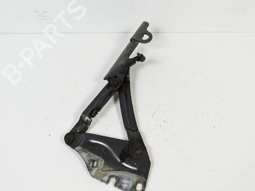 Hinge/Door check strap VW GOLF V (1K1) 1.4 FSI | BP14682658C146 