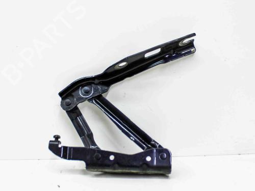 Hinge/Door check strap VW EOS (1F7, 1F8) 2.0 TDI | BP17229292C146