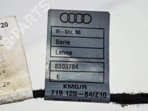 Wiring harness AUDI A4 B6 Avant (8E5) 1.8 T | BP14690366E16 