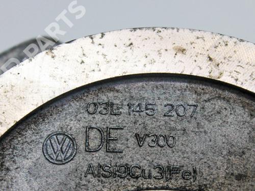 Vacuum pump VW GOLF PLUS V (5M1, 521) 1.6 TDI | BP8850024M80 