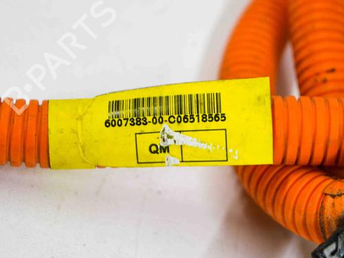 Ledningsnet TESLA MODEL S (5YJS) 85 | BP14680076E16 