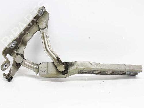 Hinge/Door check strap SKODA OCTAVIA II (1Z3) 1.6 | BP14683247C146 