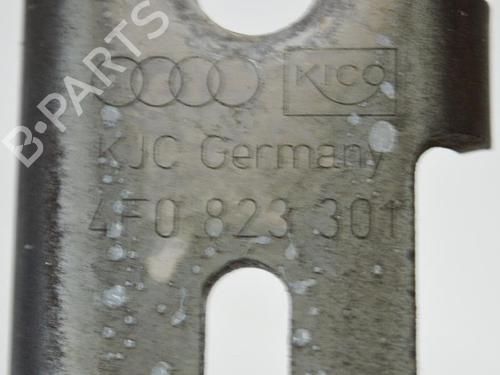Hinge/Door check strap AUDI A6 C6 (4F2) 2.4 | BP14682784C146 