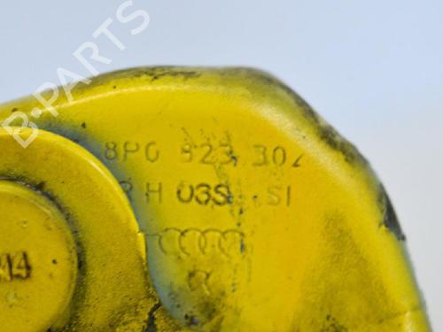 Hinge/Door check strap AUDI A3 (8P1) 1.9 TDI | BP14683179C146 