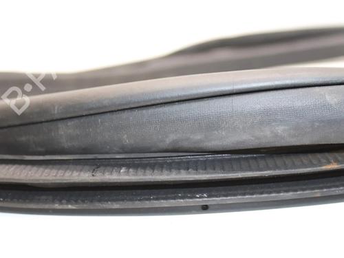Gummiliste NISSAN ALTIMA (L33) 2.5 | BP36186959C142 - Image 4