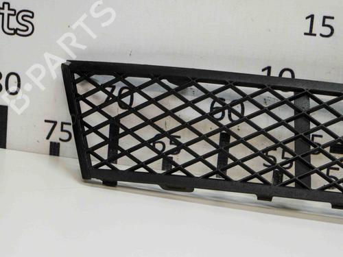 Grille BMW 5 Touring (F11) 520 d | BP14672949C40
