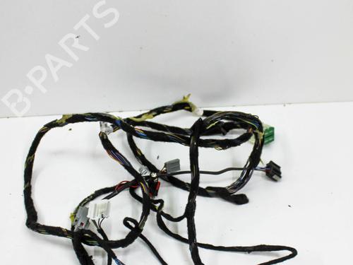 Ledningsnett FORD USA F-150 Crew Cab Pickup 2.7 (329 hp) 28820981