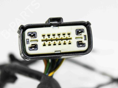 Wiring harness FORD USA F-150 Crew Cab Pickup 2.7 | BP28821164E16 