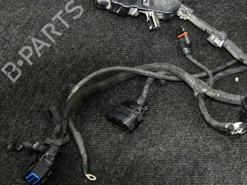 Wiring harness BMW 5 (G30, F90) 530 e Plug-in Hybrid | BP16196097E16 