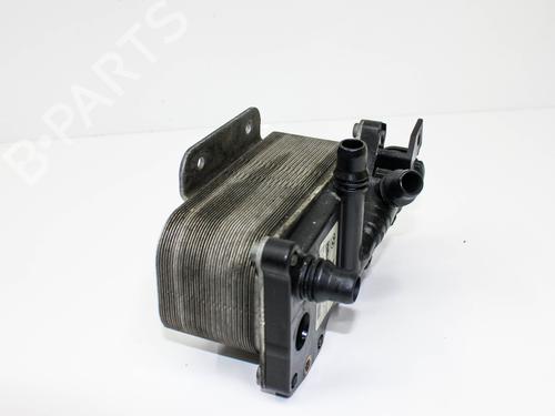 Water radiator BMW 5 (F10) 528 i | BP20239031M31 