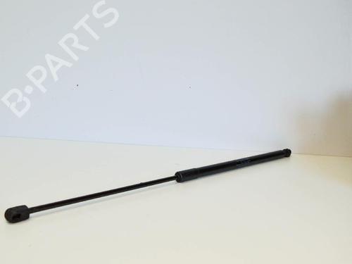 Used Hood lift support MERCEDES-BENZ C-CLASS (W204) C 250 CDI (204.003) (204 hp) 14668974