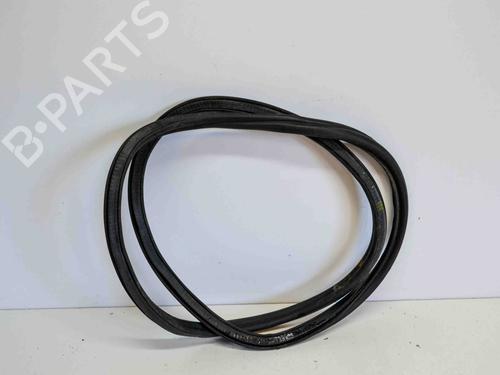 Gummiliste AUDI A6 C6 (4F2) 2.7 TDI (190 hp) 14690593