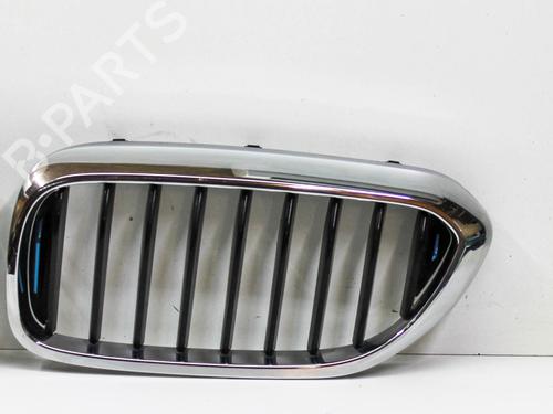 BP16540657C40 | Grill/Gitter BMW 5 (G30, F90) 530 e Plug-in-Hybrid BP16540657C40