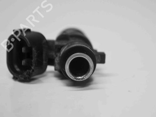 Injector VW GOLF VII (5G1, BQ1, BE1, BE2) 2.0 R 4motion | BP6875683M100