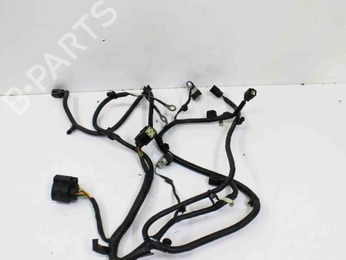 Used Wiring harness FORD USA F-150 Crew Cab Pickup 2.7 (329 hp) 28821164