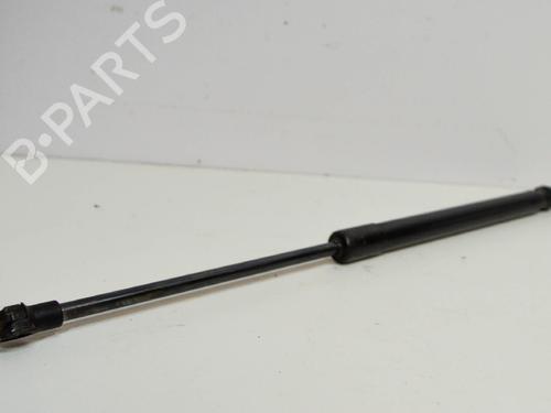 Used Hood lift support VW CADDY III Box Body/MPV (2KA, 2KH, 2CA, 2CH) 1.9 TDI (105 hp) 14673092