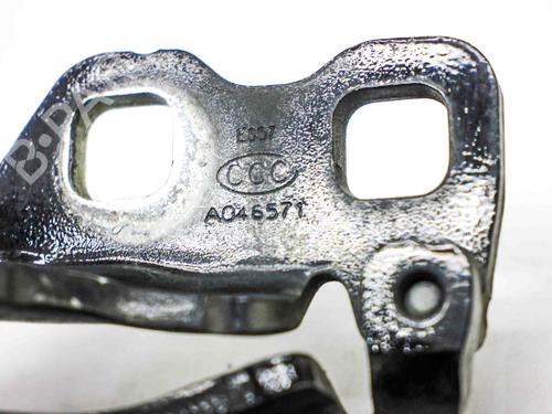 Hinge/Door check strap TESLA MODEL 3 (5YJ3) EV AWD | BP29227862C146 