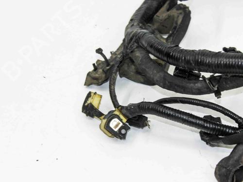 Wiring harness FORD USA F-150 Crew Cab Pickup 2.7 | BP28821149E16