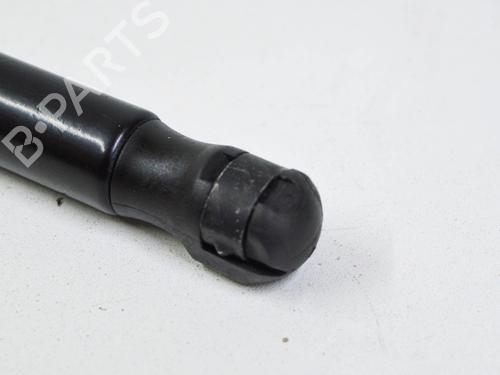 Hood lift support BMW 5 (F10) 530 i | BP14680212C139 