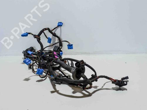 Used Wiring harness AUDI A8 D3 (4E2, 4E8) 3.0 TDI quattro (233 hp) 14685242