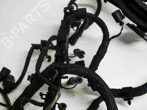 Wiring harness SKODA OCTAVIA II (1Z3) 1.6 TDI | BP14671423E16 