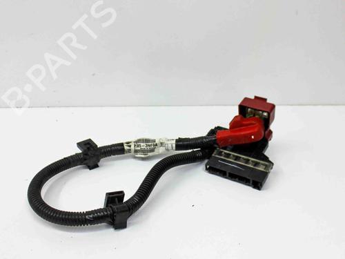 Used Cable NISSAN LEAF (ZE0) Electric (109 hp) 21492834