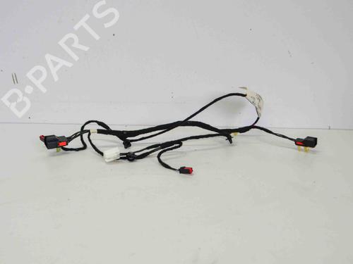 Ledningsnet JAGUAR XF I (X250) 3.0 D (241 hp) 14673491