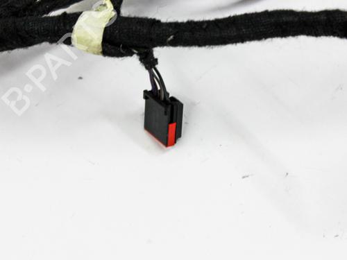 Wiring harness FORD ECOSPORT 1.0 EcoBoost | BP19651629E16 