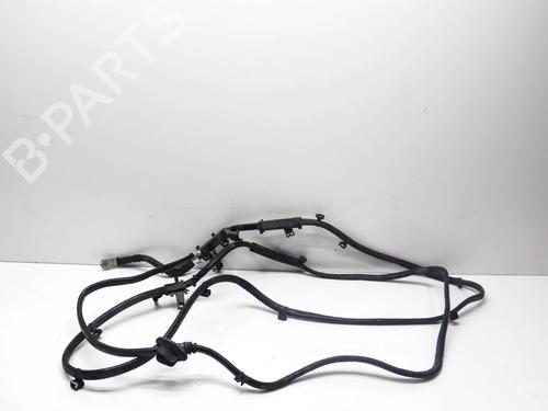 Used Cable PORSCHE PANAMERA (970) 3.6 (300 hp) 30884865