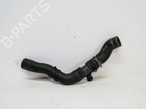 Used Support VW TIGUAN (5N_) 2.0 TDI 4motion (140 hp) 14691085