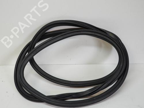 Rubber door seal AUDI Q5 (8RB) 2.0 TDI quattro | BP14675592C142 
