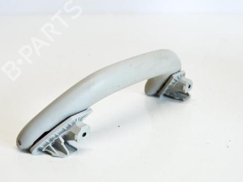 Interior roof handle VW GOLF V (1K1) 1.9 TDI | BP14685372I35 