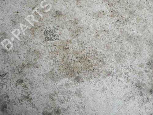 Vacuum pump SKODA OCTAVIA II Combi (1Z5) 1.8 TSI 4x4 | BP6484444M80