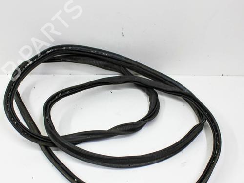 Rubber door seal AUDI Q5 (8RB) 2.0 TDI quattro | BP17229092C142 