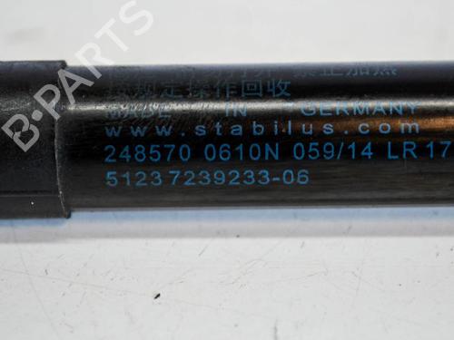 Hood lift support BMW 4 Coupe (F32, F82) 420 d | BP14691555C139 