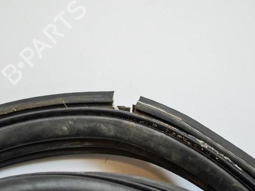 Rubber door seal FORD KUGA II (DM2) 2.0 TDCi 4x4 | BP14692301C142 