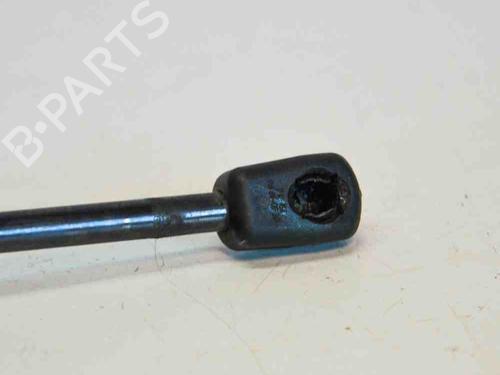 Tailgate lift support AUDI A3 Sportback (8VA, 8VF) 1.6 TDI | BP14688191C138