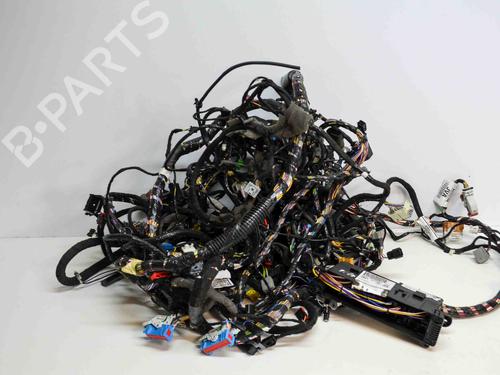 Ledningsnet FORD KUGA II (DM2) 2.0 TDCi 4x4 (163 hp) 14668921