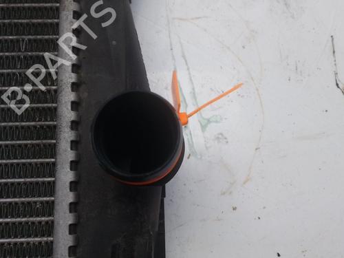 Water radiator NISSAN QASHQAI I (J10, NJ10)  | BP30774001M31 