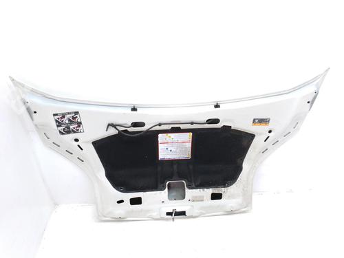 Hood FIAT FIORINO Box Body/MPV (225_)  | BP13743892C1 