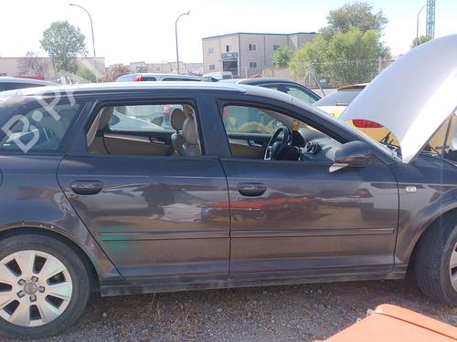 Modulo electronico AUDI A3 (8P1) 2.0 TDI 16V | BP29877175M83
