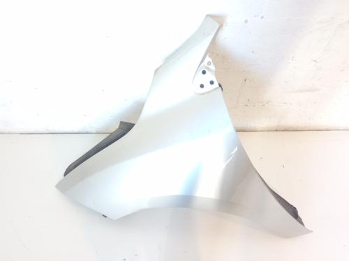 Used Left front fenders RENAULT MEGANE III Hatchback (BZ0/1_, B3_) [2008-2026]  10410684