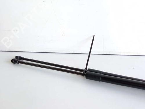 Tailgate lift support NISSAN QASHQAI I (J10, NJ10) 2.0 dCi | BP14224624C138 