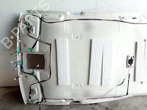 Interior roof TOYOTA RAV 4 IV (_A4_)  | BP10150748I12 
