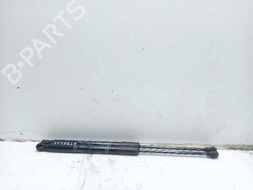 Used Tailgate lift support TOYOTA YARIS (_P13_) [2010-2020]  24504801